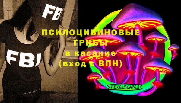 Альфа ПВП Алзамай