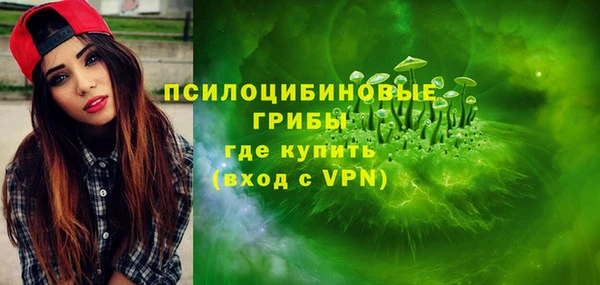 сатива Алексеевка