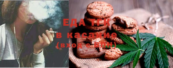 мет Алексин