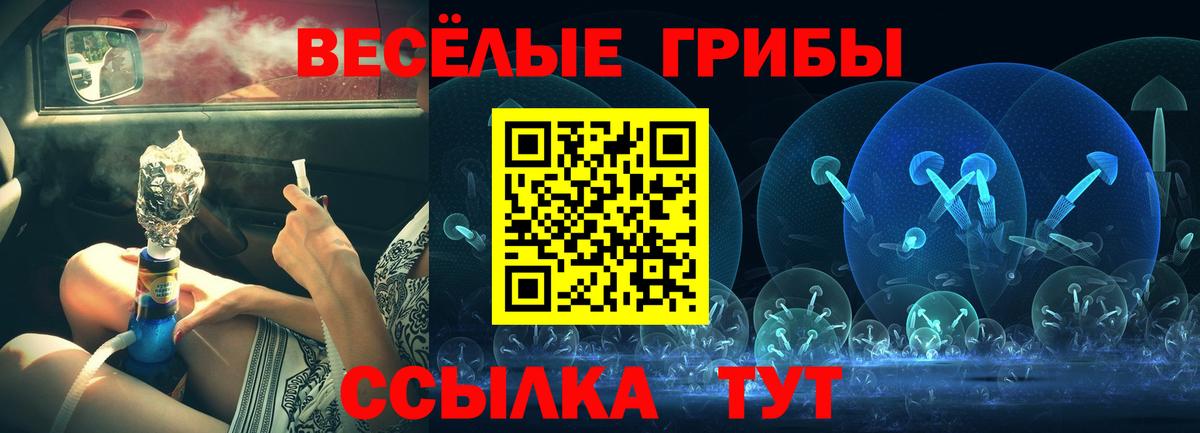 Галлюциногенные грибы Magic Shrooms  Вход с VPN  Псилоцибиновые грибы Psilocybe  наркотики  Нижний Новгород 