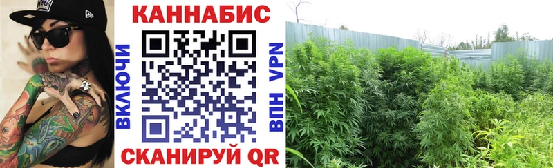 Конопля семена  Нижний Новгород 